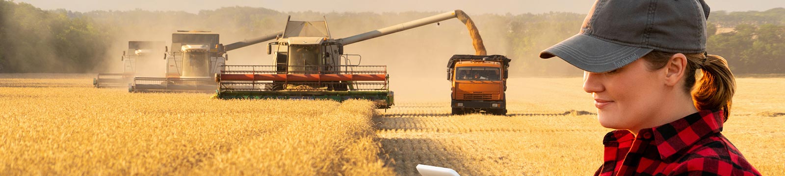 Woman using tablet with crop harvest in the background.